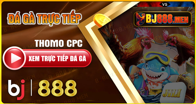 BJ888 - Trang Chủ Đá Gà Trực Tiếp Hàng Đầu | Đăng Ký BJ88 Uy Tín 20 Đá gà trực tiếp - thomo cpc1 đến cpc5 hôm nay